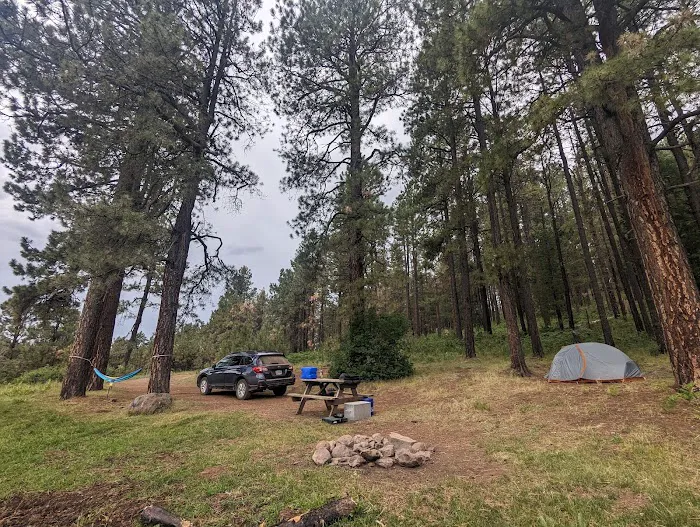 Pacheta Lake Campground Picture 8