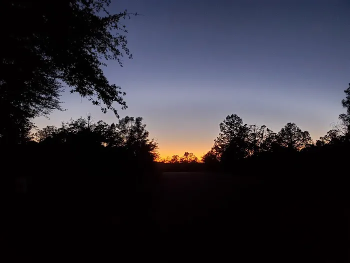 Houston Mesa Horse Campground Picture 4