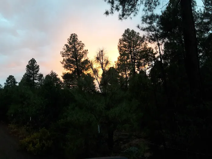 Houston Mesa Horse Campground Picture 5