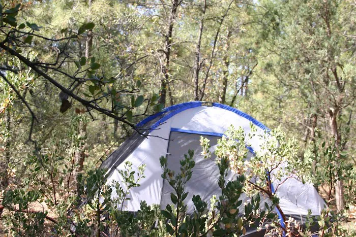 Houston Mesa Campground Picture 4