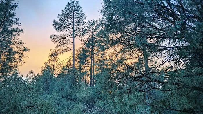 Houston Mesa Campground Picture 6