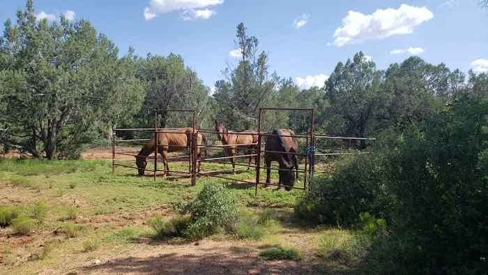 Houston Mesa Campground Picture 10