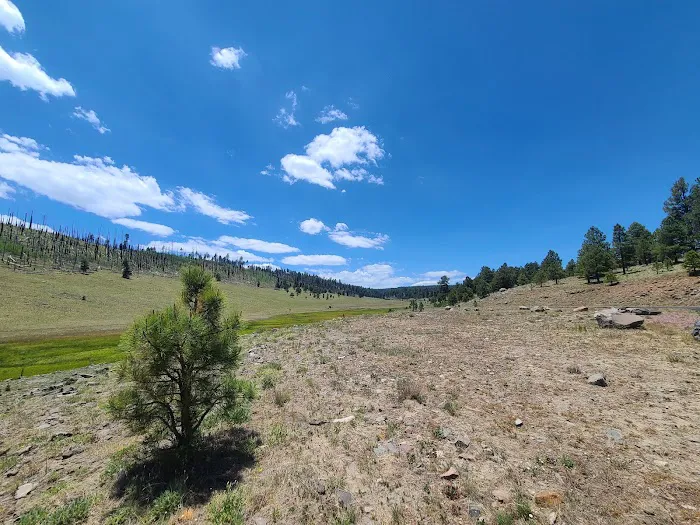 Alpine Ranger Station Picture 4