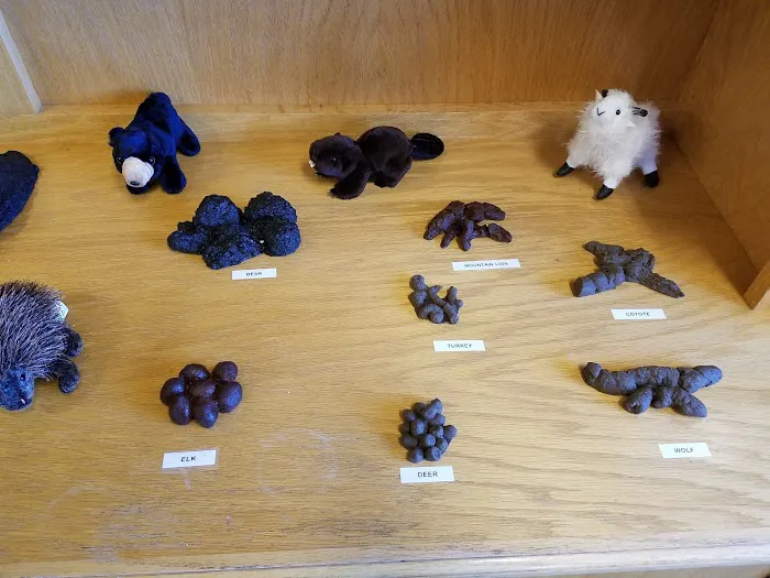 Alpine Ranger Station Picture 8