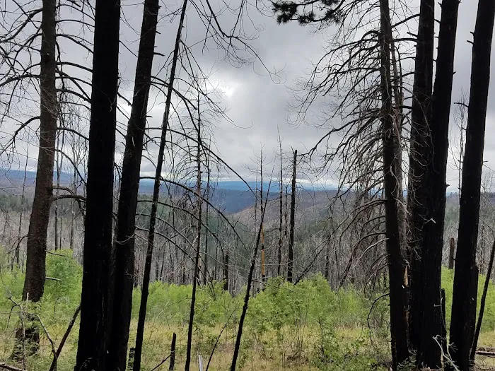 Hannagan Campground Picture 1