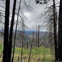 Hannagan Campground ico
