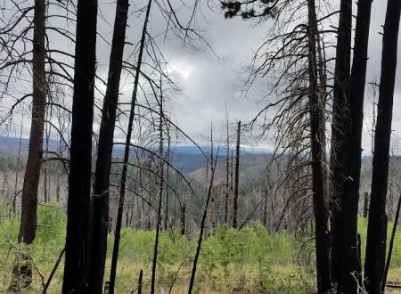 Hannagan Campground