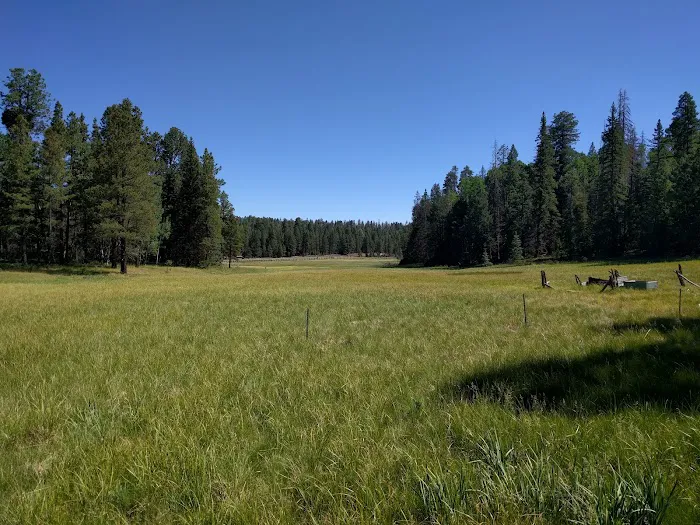 Hannagan Campground Picture 2