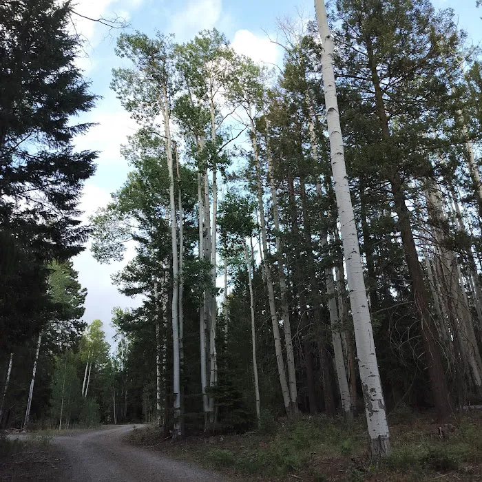 Hannagan Campground Picture 6