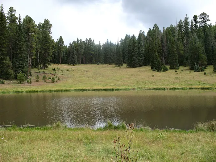 Steeple/Foote Creek Trailhead (recgovnpsdata) Picture 4