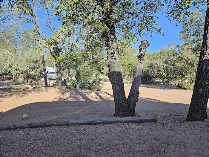 Payson Campground & RV Resort Picture 5