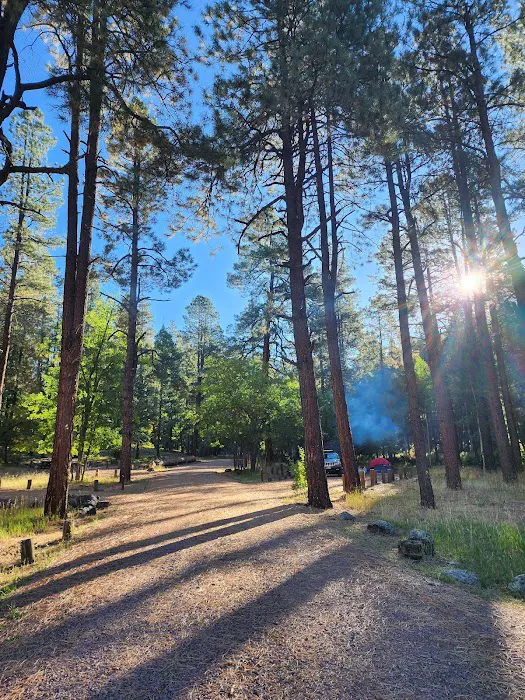 Alpine Divide Campground Picture 1