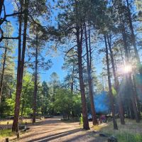 Alpine Divide Campground ico