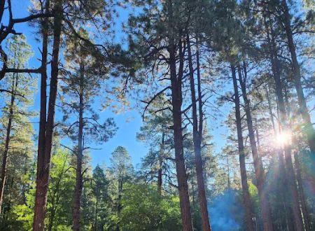 Alpine Divide Campground
