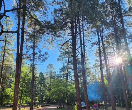 Alpine Divide Campground