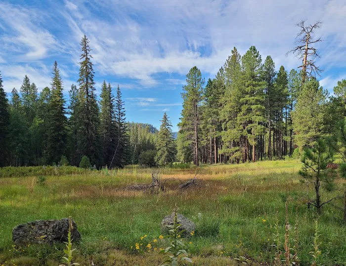 Alpine Divide Campground Picture 3