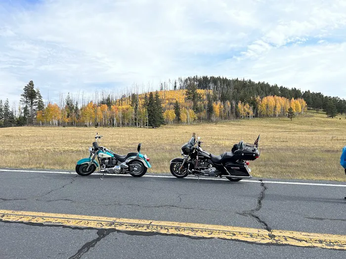 Alpine Divide Campground Picture 8
