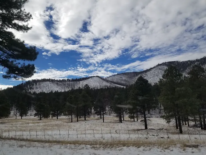 Alpine Divide Campground Picture 9
