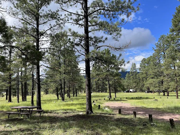Luna Lake Group Campground Picture 2