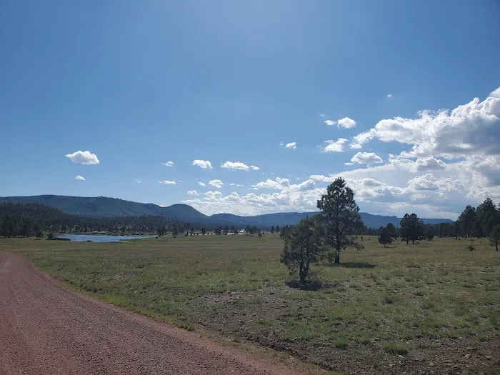 Luna Lake Group Campground Picture 5