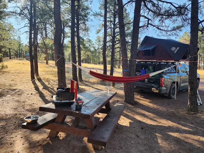 Luna Lake Group Campground Picture 7