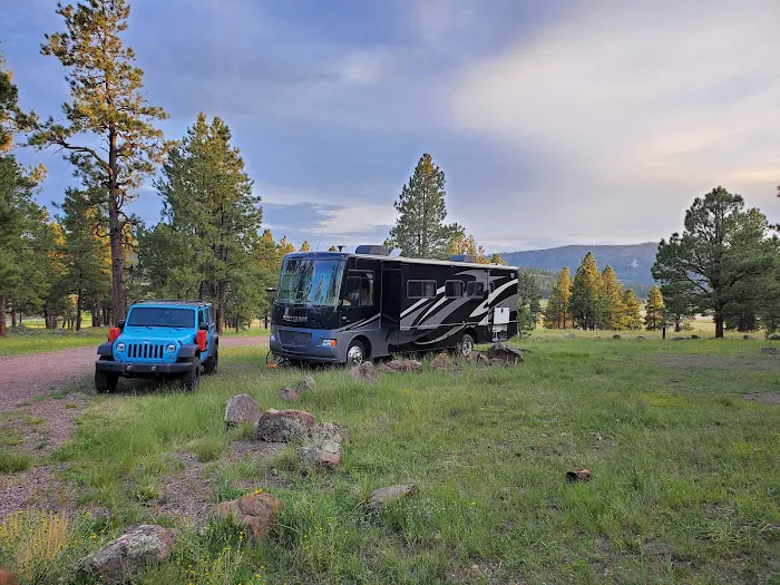 Luna Lake Group Campground Picture 10
