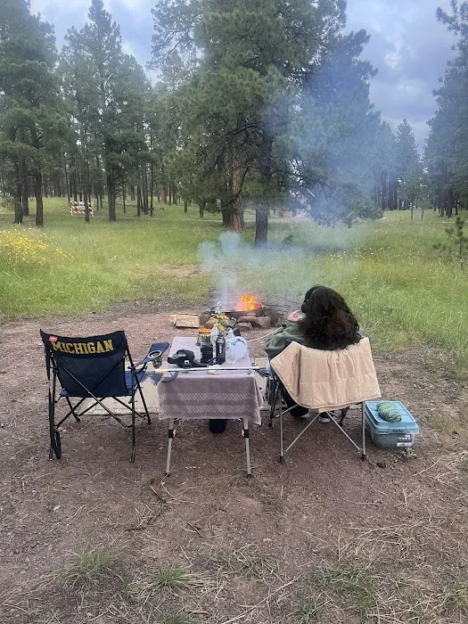 Luna Lake Campground Picture 3