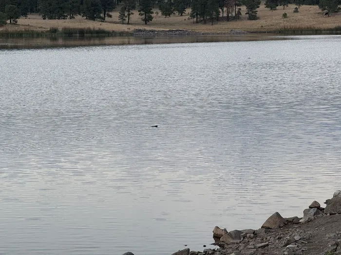 Luna Lake Campground Picture 5