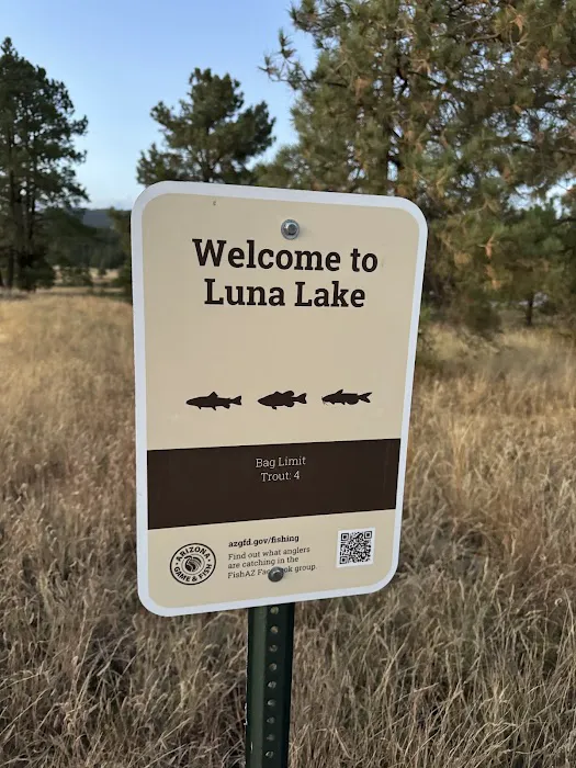 Luna Lake Campground Picture 8