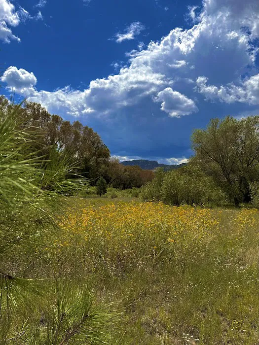 Upper Blue Campground Picture 6