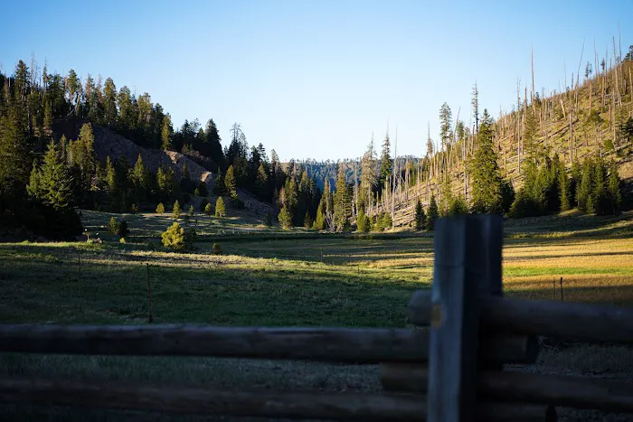 KP Cienega Campground Picture 2