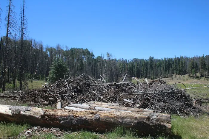 KP Cienega Campground Picture 7