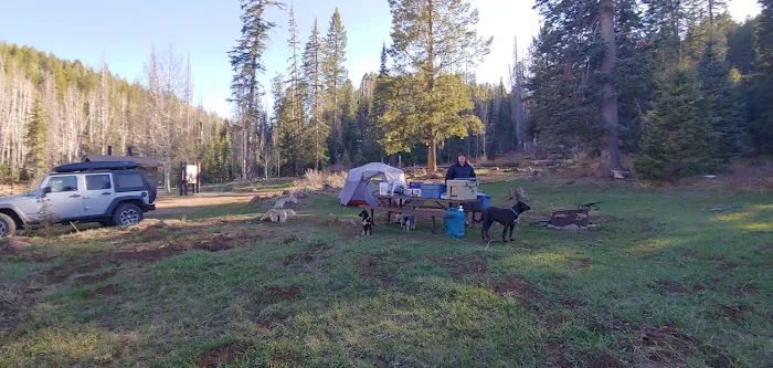 KP Cienega Campground Picture 10