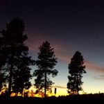 Stray Horse Campground