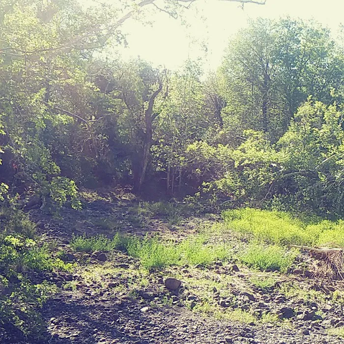 Honeymoon Campground Picture 6