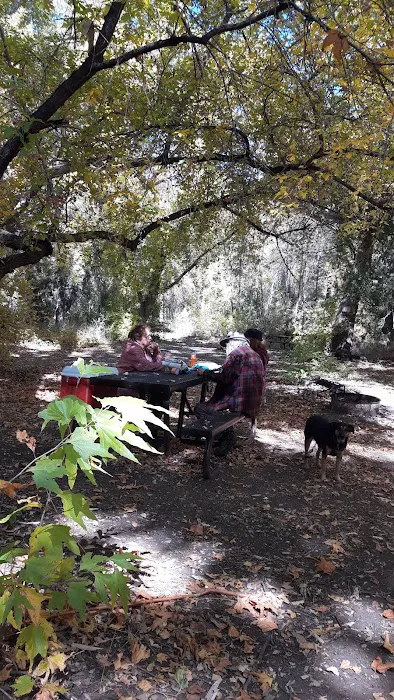 Honeymoon Campground Picture 9