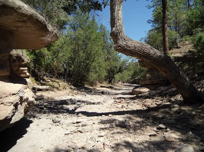 Pueblo Park Campground Picture 1