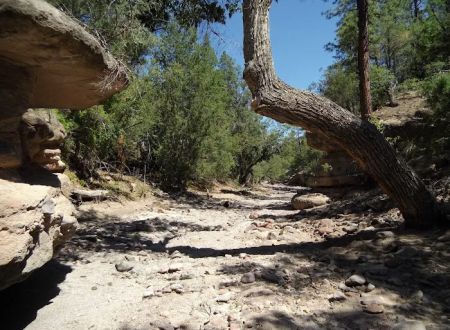 Pueblo Park Campground