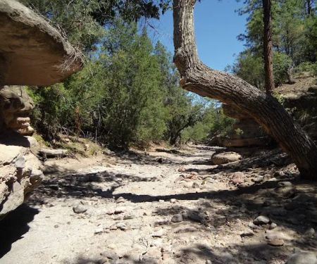 Pueblo Park Campground