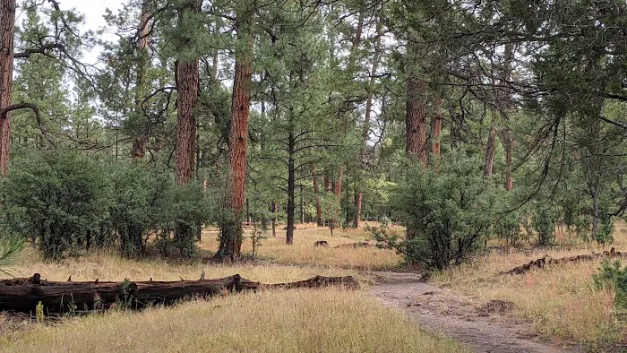Pueblo Park Campground Picture 2