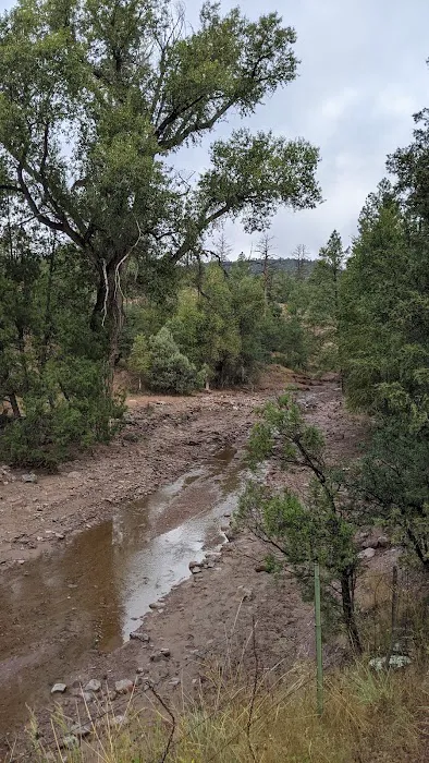 Pueblo Park Campground Picture 4