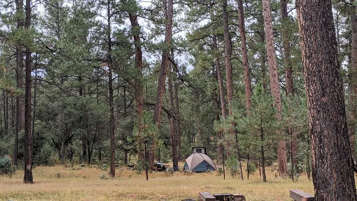 Pueblo Park Campground Picture 5