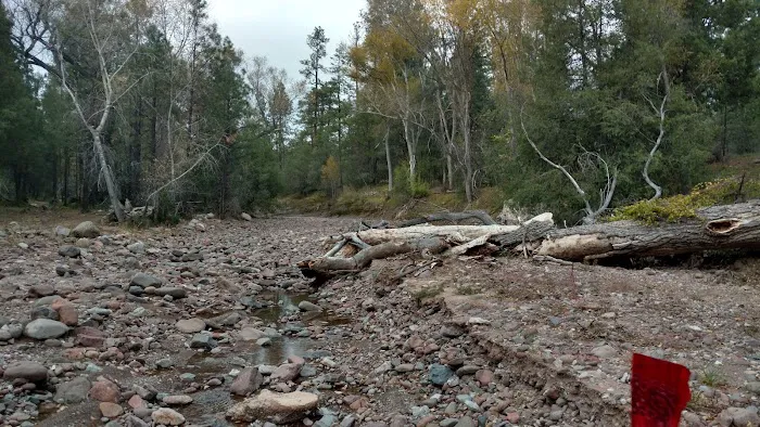 Pueblo Park Campground Picture 6