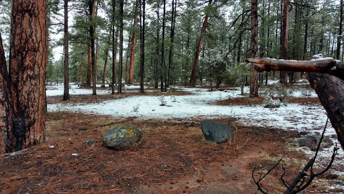 Pueblo Park Campground Picture 10