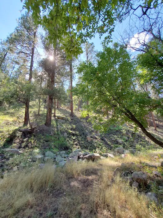 Cottonwood Campground Picture 1