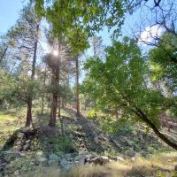 Cottonwood Campground ico