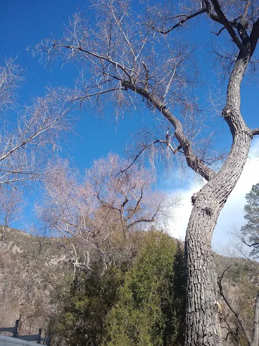Cottonwood Campground Picture 2