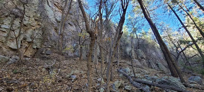 Cottonwood Campground Picture 5