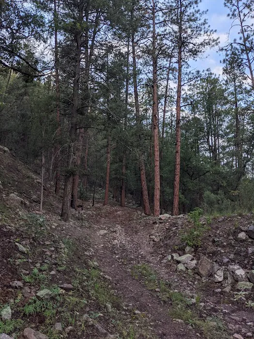 Cottonwood Campground Picture 8