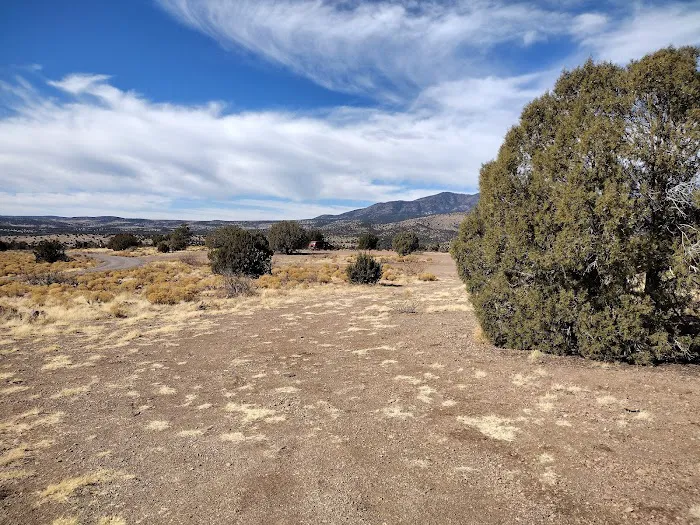 Cosmic Campground Picture 2
